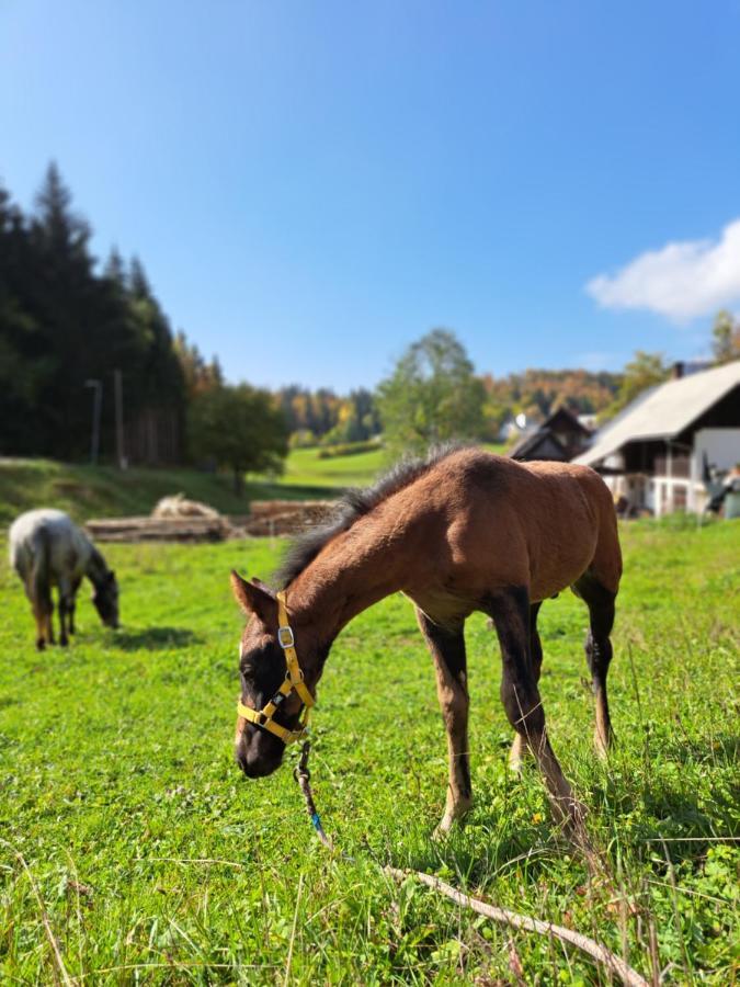 Tourist Farm Pr' Maretc Apartment Bohinjska Bistrica Exterior foto