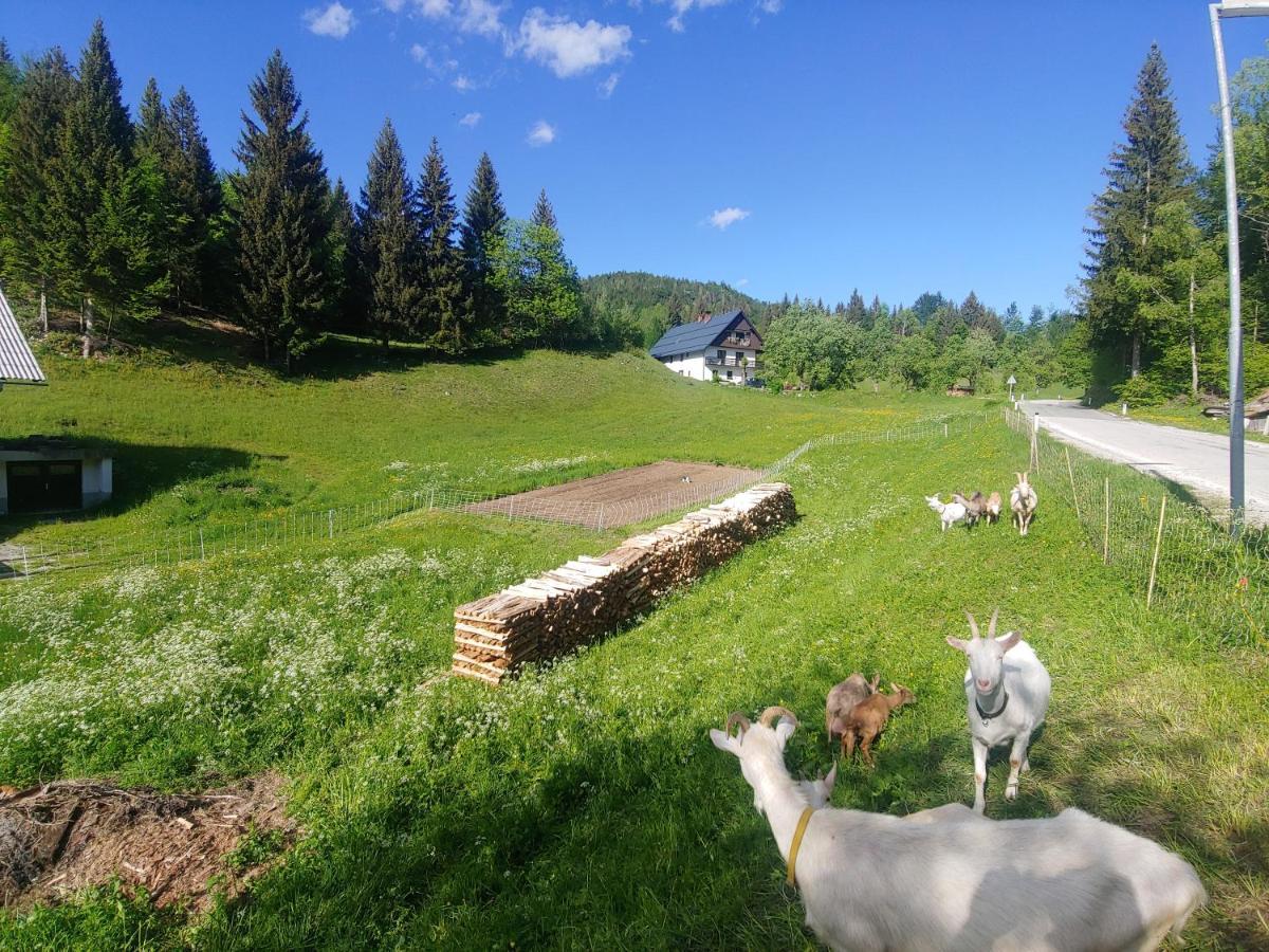 Tourist Farm Pr' Maretc Apartment Bohinjska Bistrica Exterior foto