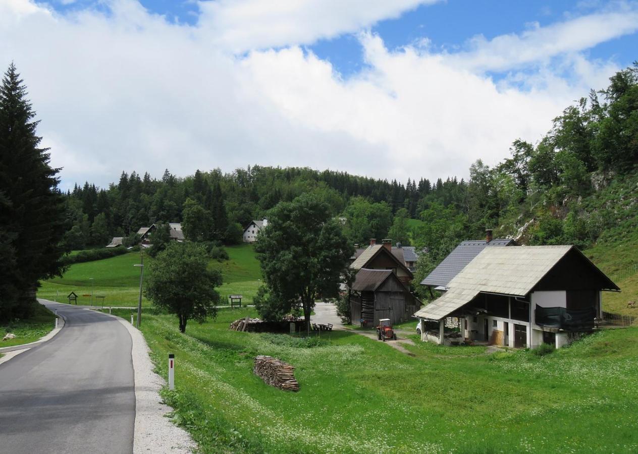 Tourist Farm Pr' Maretc Apartment Bohinjska Bistrica Exterior foto