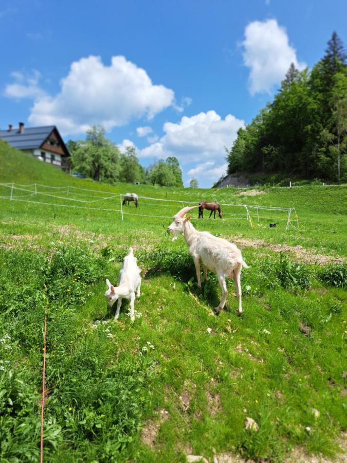 Tourist Farm Pr' Maretc Apartment Bohinjska Bistrica Exterior foto